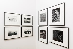 Misa Shin Gallery at Asia Now 2016. Photo: © Charles Roussel & Ocula.
